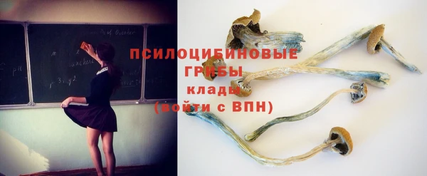 крисы Балабаново